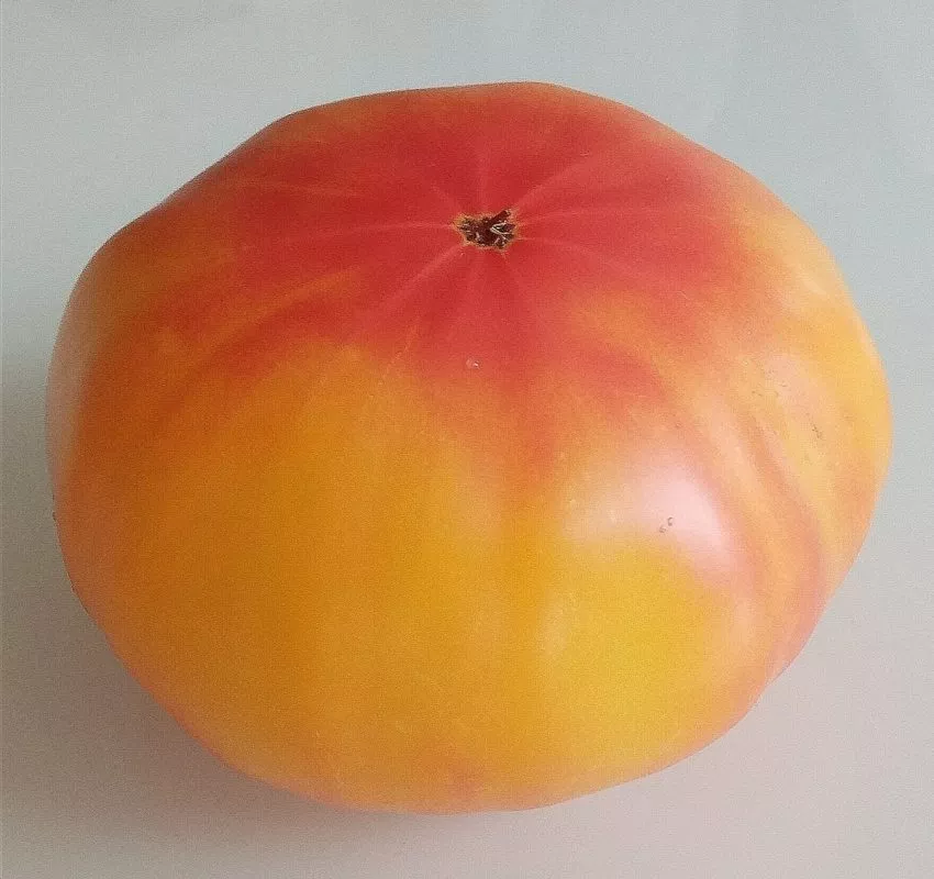 zolotoy-martsipan-2-126707