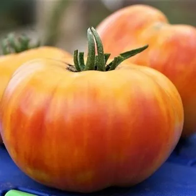 zolotoy-martsipan-3-126707