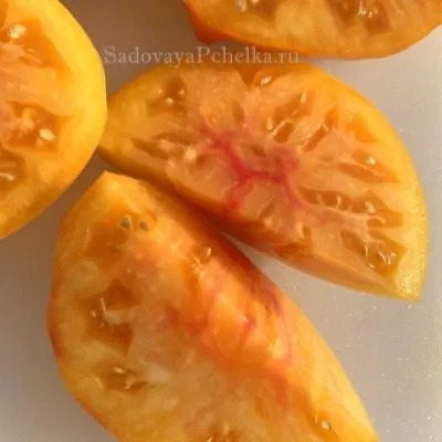 zolotoy-martsipan-4-126707