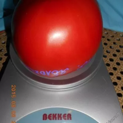 adamovo-yabloko-5-139511