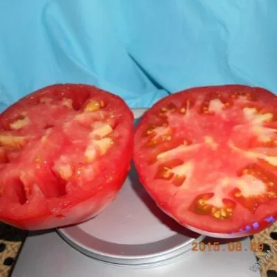 adamovo-yabloko-6-139511