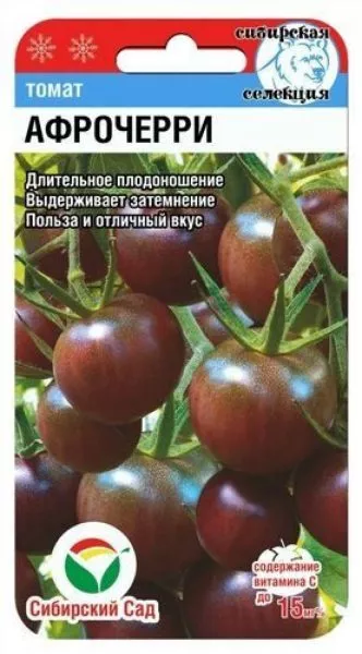 afro-cherri-2-162897