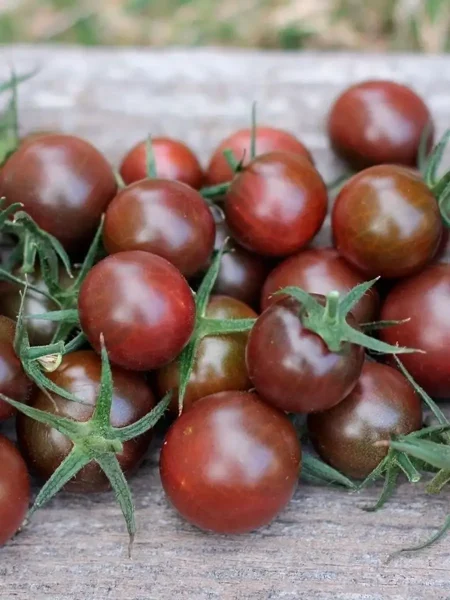 afro-cherri-4-162897