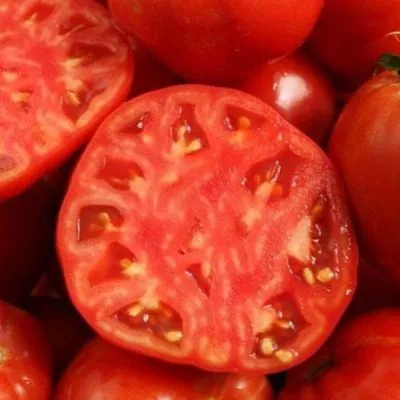 alesha-popovich-7-153790