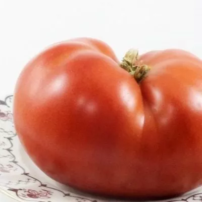 altayskiy-silach-3-155438