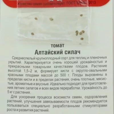 altayskiy-silach-4-155438