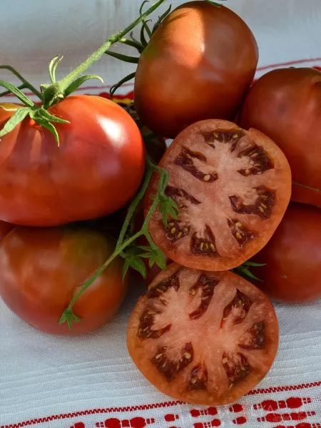 amazonka-shokoladnaya-main-161759