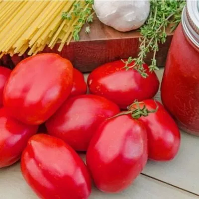 amishey-pasta-8-163671