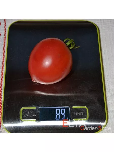 anastasiya-ushakova-10-166818