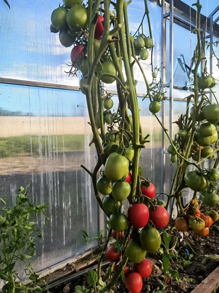 anastasiya-ushakova-4-166818