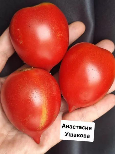 anastasiya-ushakova-5-166818