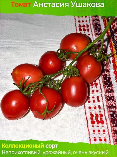 anastasiya-ushakova-6-166818