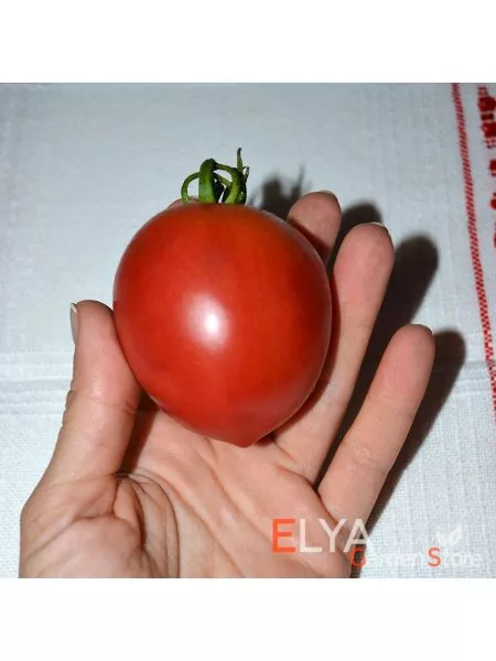 anastasiya-ushakova-9-166818