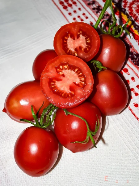 anastasiya-ushakova-main-166818