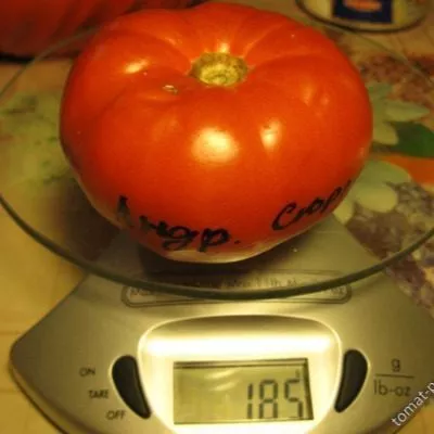 andreevskiy-syurpriz-1-139290