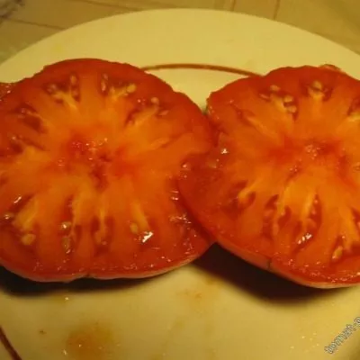 andreevskiy-syurpriz-2-139290