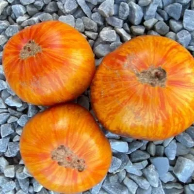 appetitnye-schechki-2-139158-1