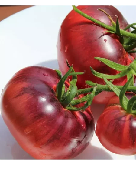 appetitnyy-main-150443