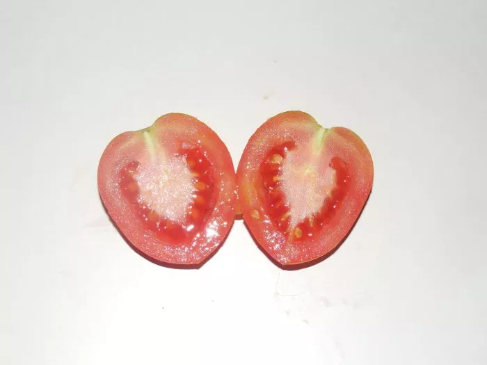 argentinskaya-slivka-3-154449