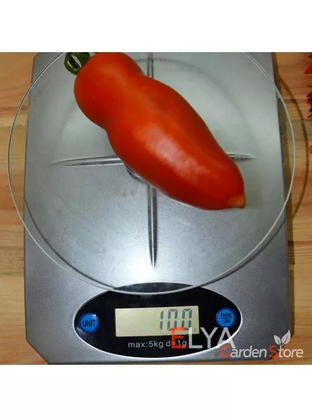 argentinskoe-chudo-6-156663