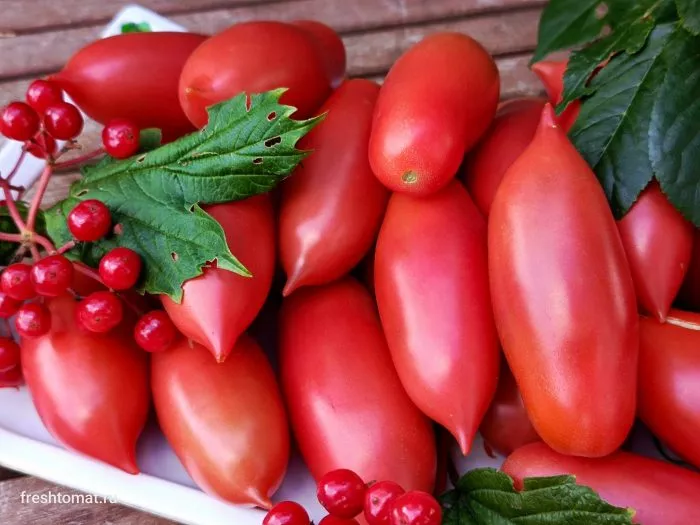 argentinskoe-chudo-8-156663