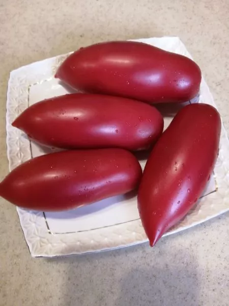 argentinskoe-chudo-9-156663