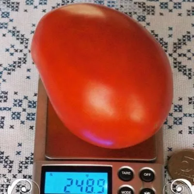 astrahanskiy-5-134307