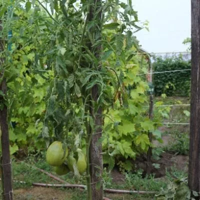 astrahanskiy-6-134307