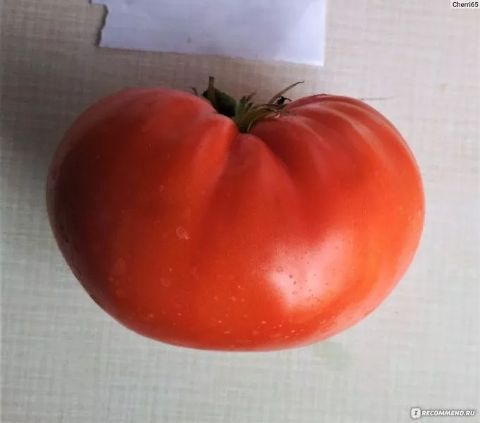 babushkin-uzelok-main-155692