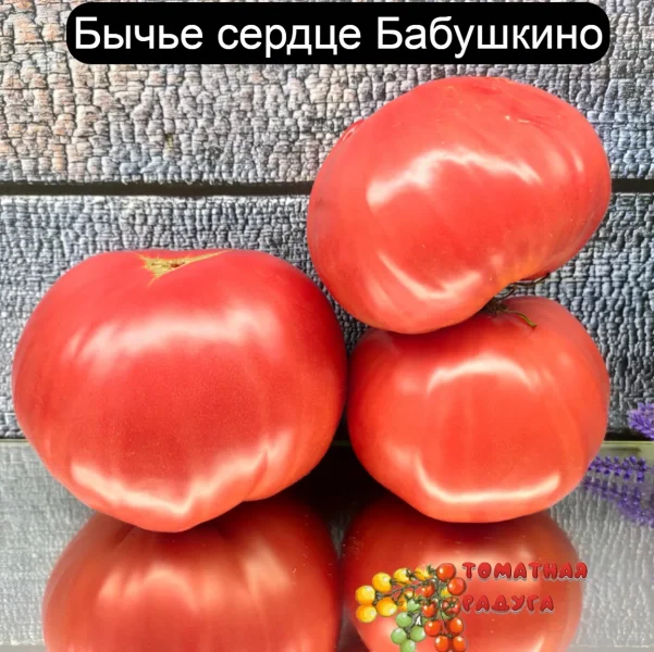 babushkino-byche-serdtse-2-137444