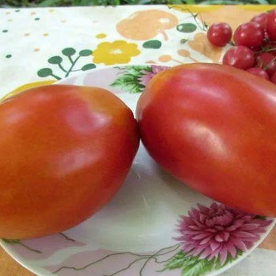 baloven-sudby-10-152497