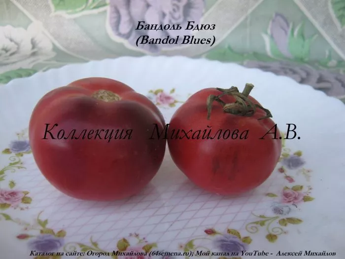 bandol-blyuz-10-156906