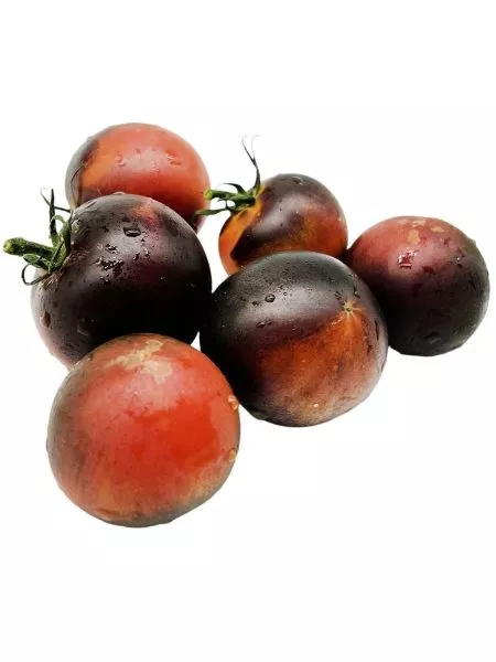 bandol-blyuz-2-156906