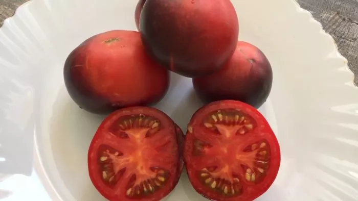 bandol-blyuz-8-156906