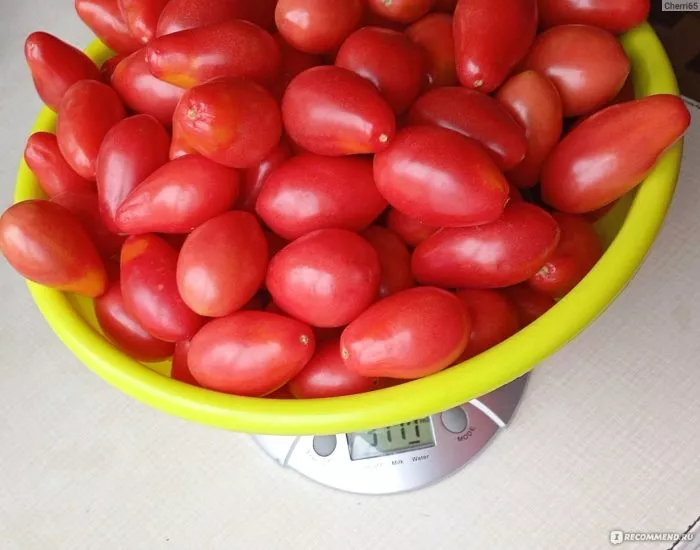 batterflyay-4-135001