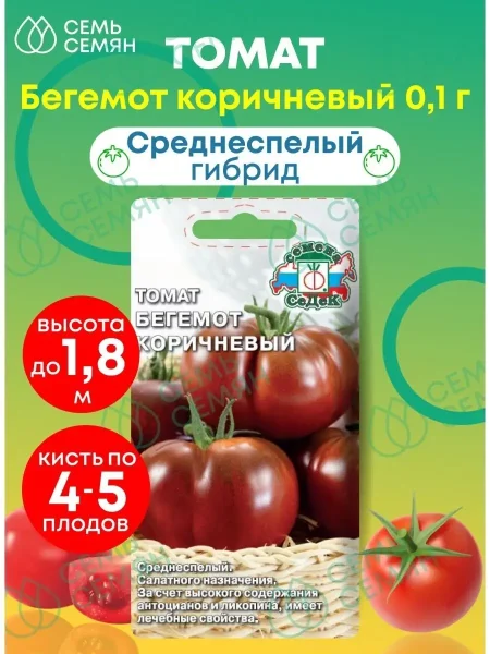 begemot-korichnevyy-2-142440