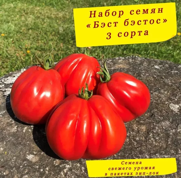 best-bestos-2-150245