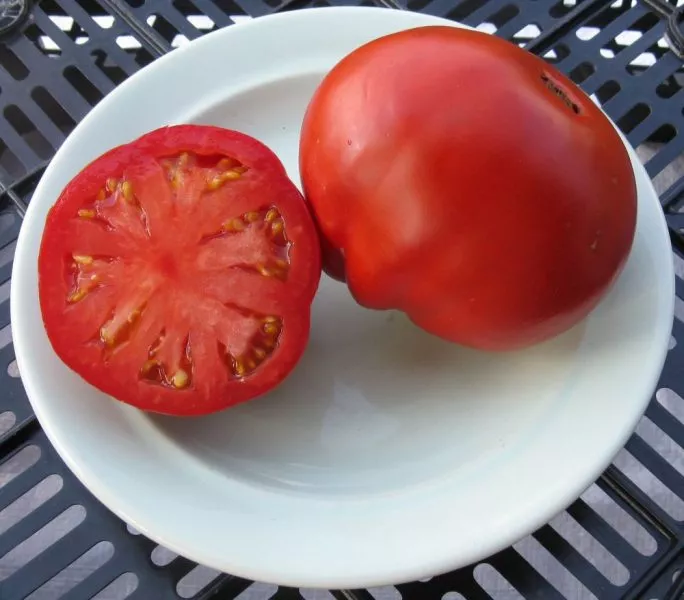 best-bestos-7-150245