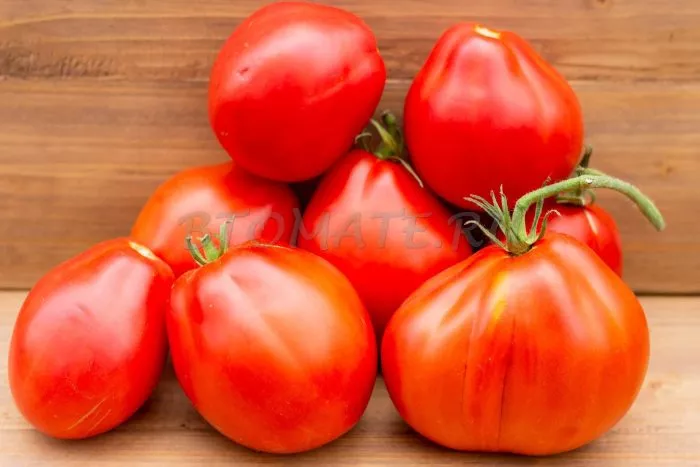 best-bestos-9-150245