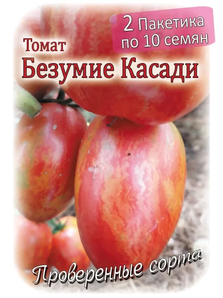 bezumie-kasadi-10-148814