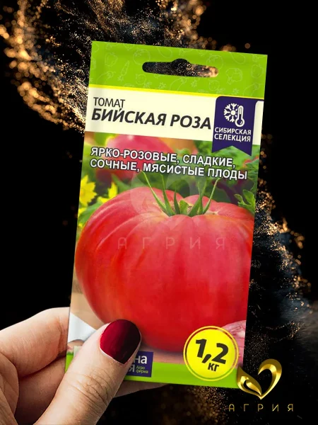 biyskaya-roza-2-143057