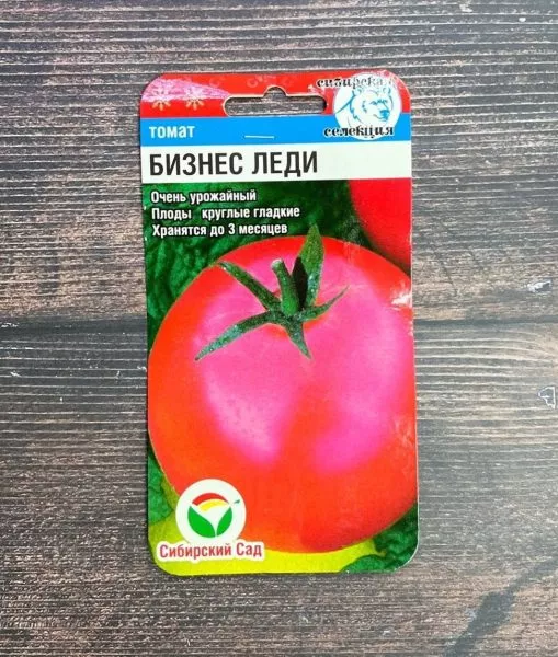 biznes-ledi-1-150364