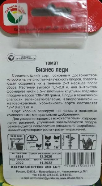 biznes-ledi-2-150364