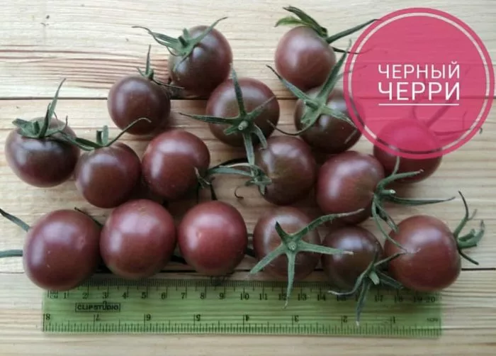 blek-cherri-1-167198
