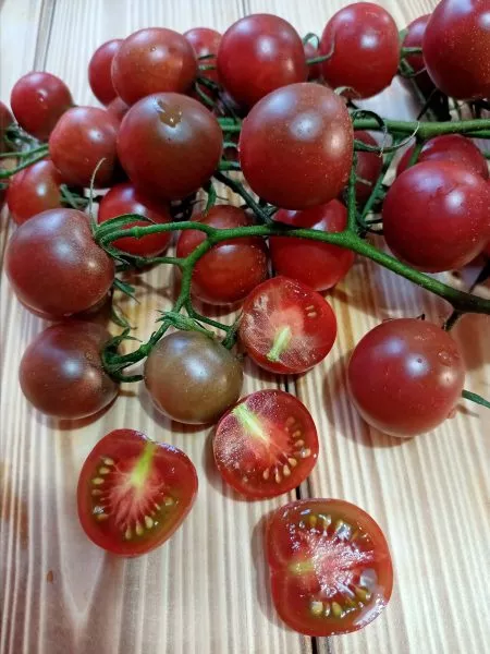 blek-cherri-4-167198