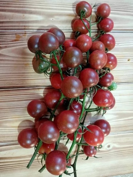 blek-cherri-main-167198