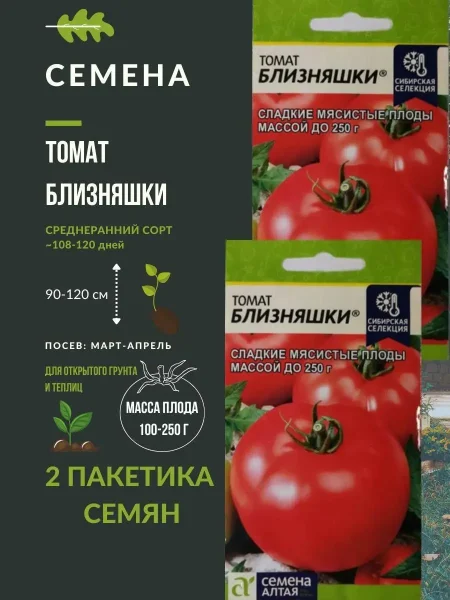 bliznyashki-1-167951