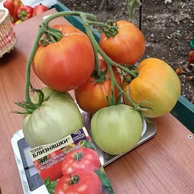 bliznyashki-2-167951