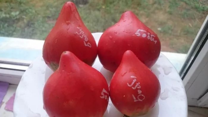 bobbi-bobbie-2-138308