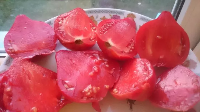 bobbi-bobbie-3-138308